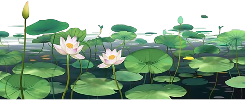 叶子图片,装饰元素,端午PNG,节日免抠素材